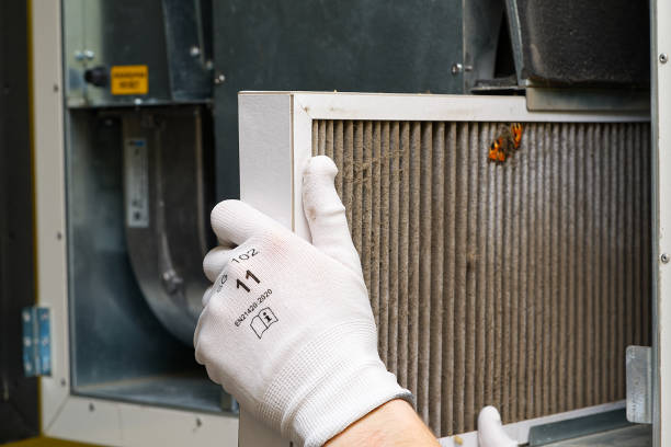 Best Dryer Vent Cleaning Services  in Cypress Lake, FL