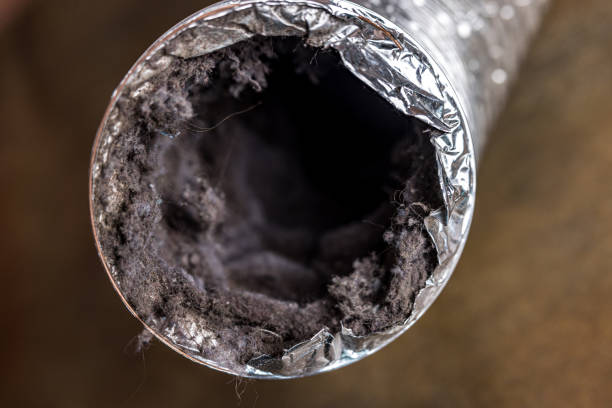 Best Dryer Vent Cleaning Services  in Cypress Lake, FL