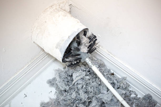 Best Residential Air Duct Cleaning  in Cypress Lake, FL