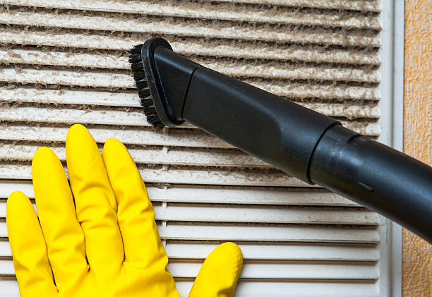 Best Dryer Vent Cleaning Services  in Cypress Lake, FL